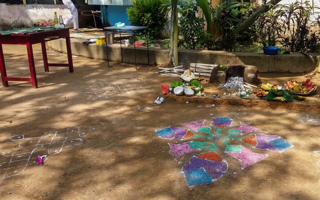 තෛපොංගල් උත්සවය 2019